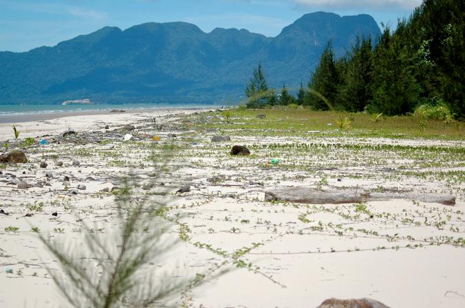 Kuching Wetlands National Park