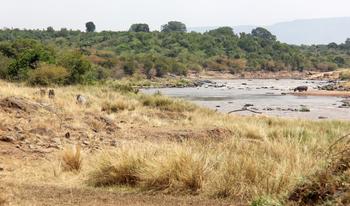 2hy2uyeyhxyus411kkc14fcohc30 1481609226 laika ac mara triangle (9701298161)