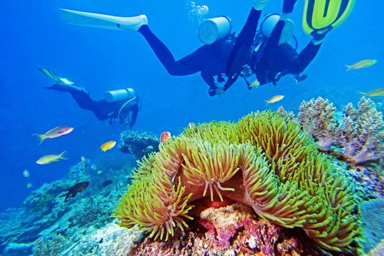 Scuba Diving in Galle Image