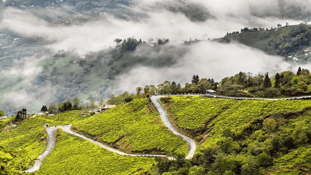 2ldxjpwvzo400na6j8m8k13q5csx siliguri darjeeling 3