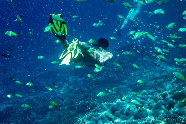 2lmn5iaz0vw1dondpx55487eftu0 snorkelling 1