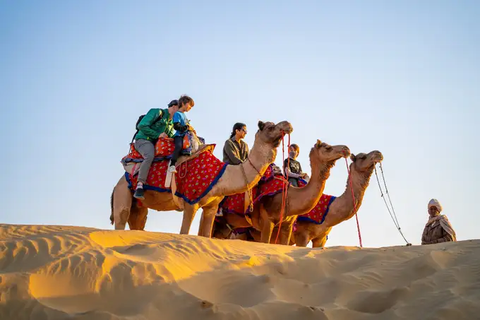 Go for a camel ride on full day camel safari in Bikaner 