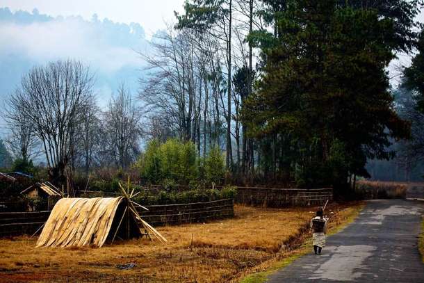 2mxjhvovrpbtmjxr4iec2d3gdhdg zori 1