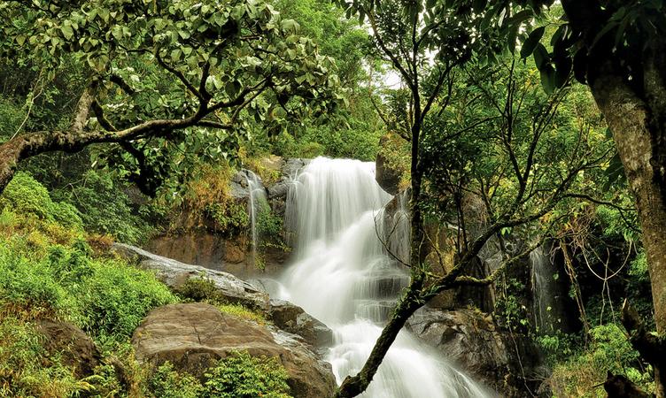 Chethalayam Waterfalls