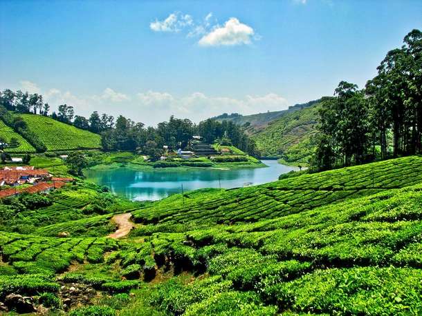 2ovmkbdyvbmgxc7ndgdldtxlb7td 1582826755 meghamalai