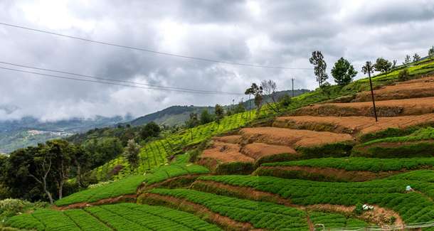 2panxxdj51wino78xopw1aqd3yaa dl.beatsnoop.com final hodbskmzmc