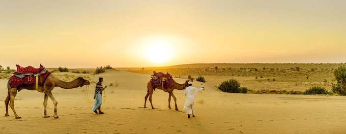 Camel Safari Tour near Bikaner