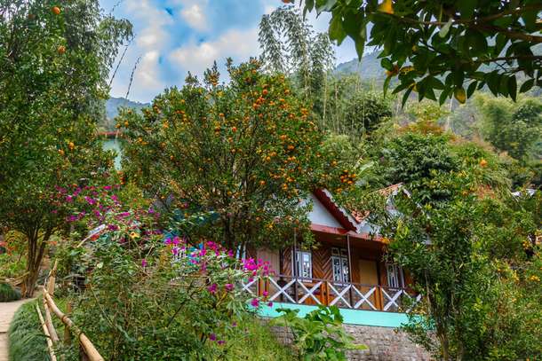 Explore the famous Orange Garden of Pelling with other attractions on a 9-hour sightseeing tour