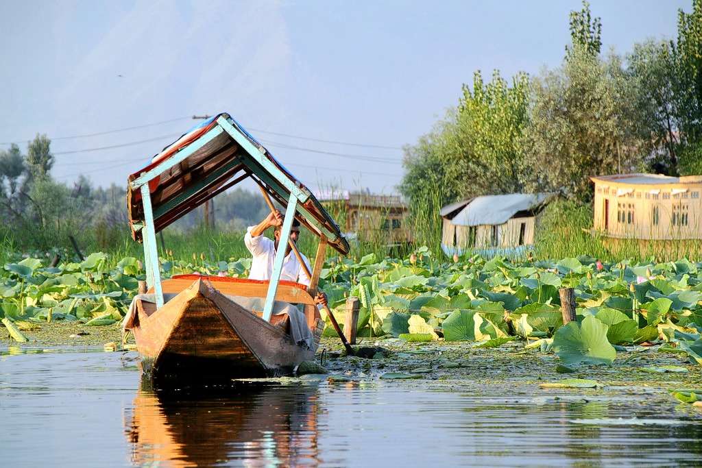 Tailor Made Ladakh 9 Day Tour Image