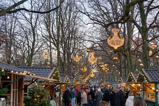 2srilg4rx4gl1lx6gv06cnrzgv7n 1580202128 47126010741 38e0861191 6k