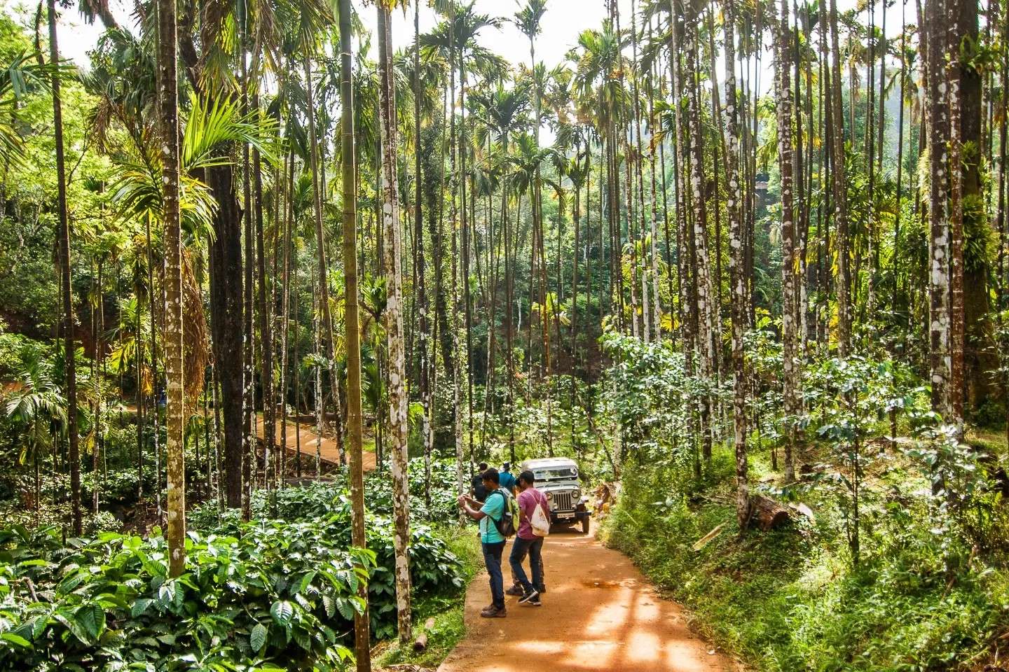 Netravati Trek Image