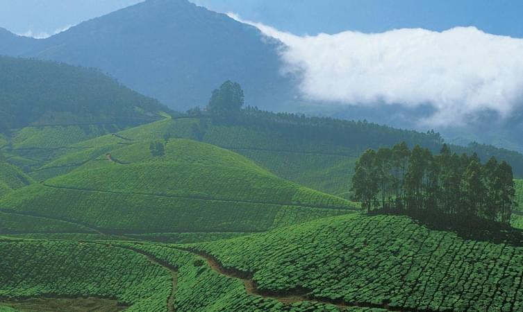 Spring Valley Mountain