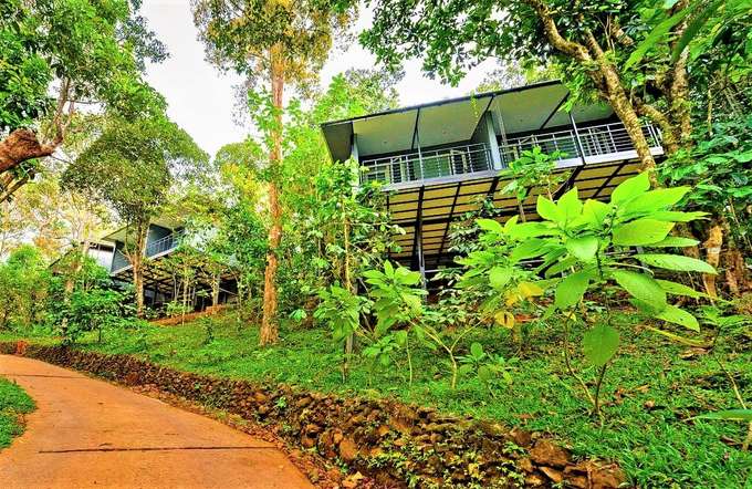 Wayanad Wild - CGH Earth Resort | Luxury Staycation Deal