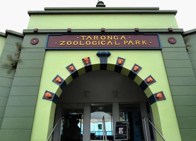 Taronga Zoo 