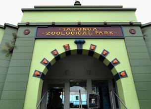 Taronga Zoo 