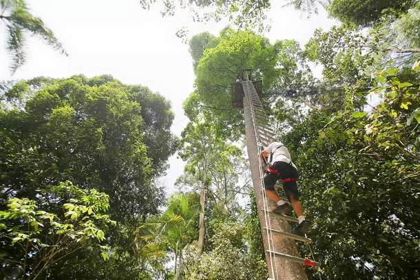 2x4agzesiehj1nizkfvo8oduer66 1564553011 wkged1vnrfiap277aa8pg9o6vpe35