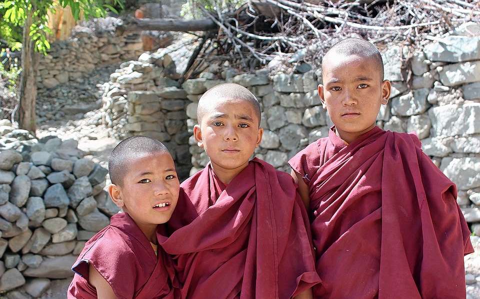 Tailor Made Ladakh 8 Day Tour Image