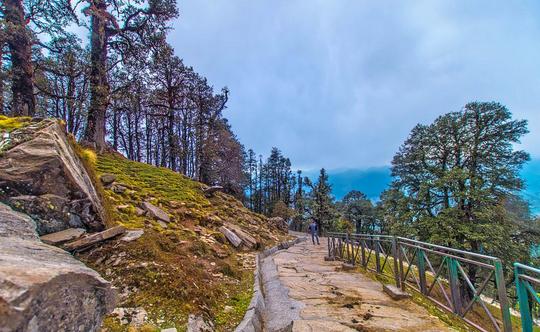 Chopta Tour  Image