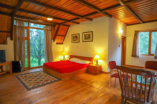 Workation Into The Woods Image