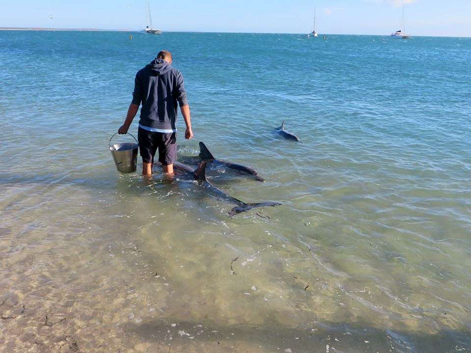 Perth to Exmouth Tour Image