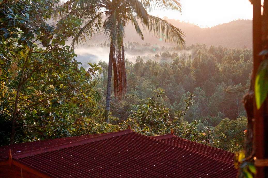 Yercaud Homestay Amidst Coffee Estate Image