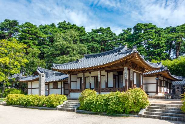 Gangneong Sightseeing Tour