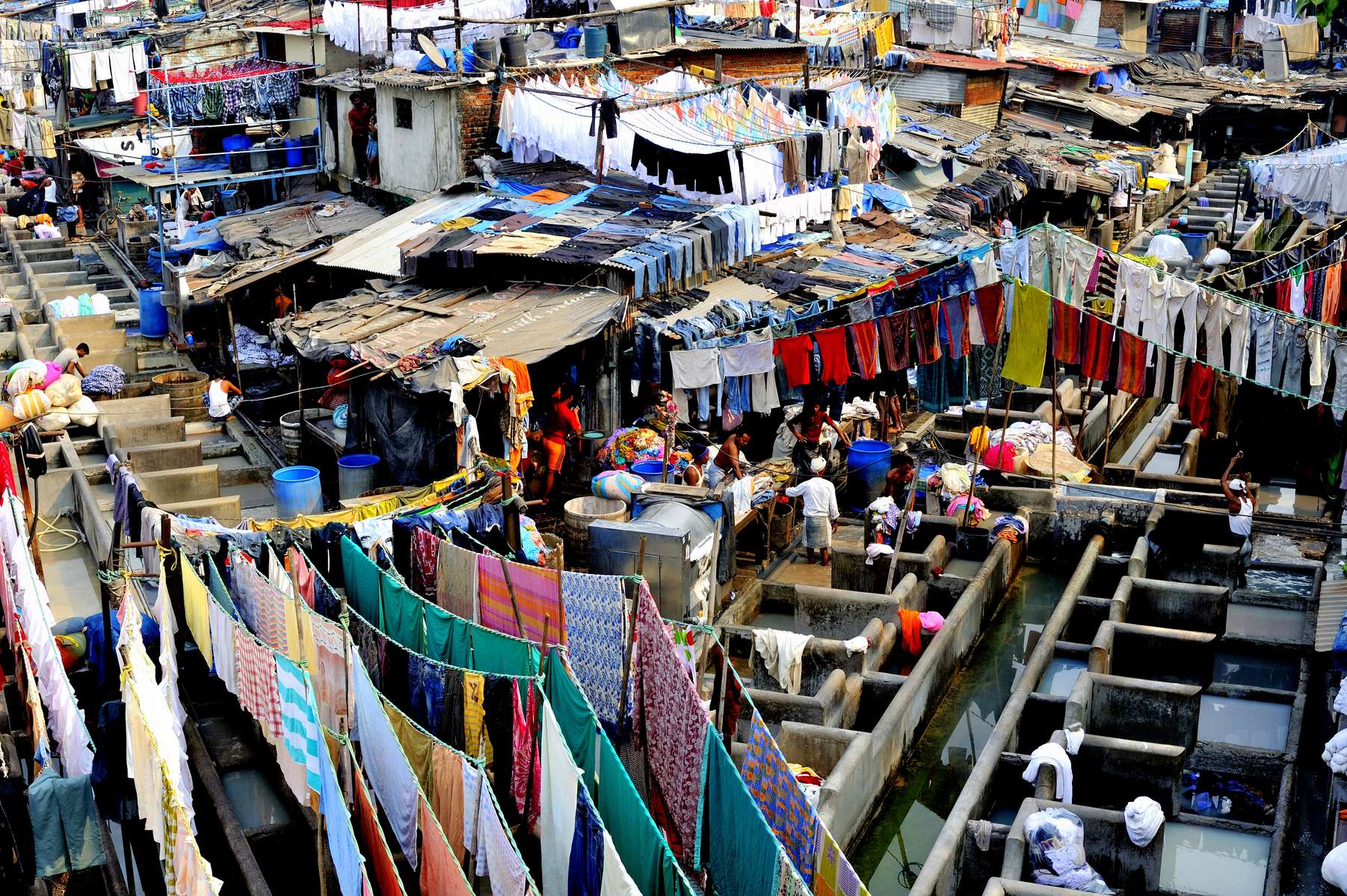 Explore Mumbai By Local Transport: Full Day Tour Image