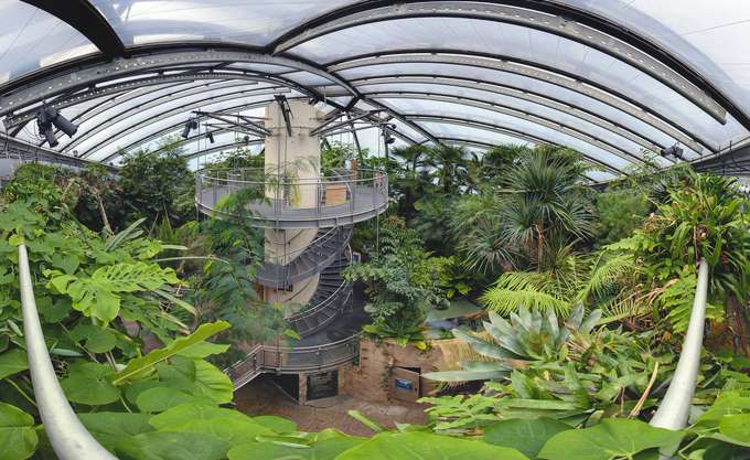 Visit the amazing Sea Life Hannover to witness the best marine creatures