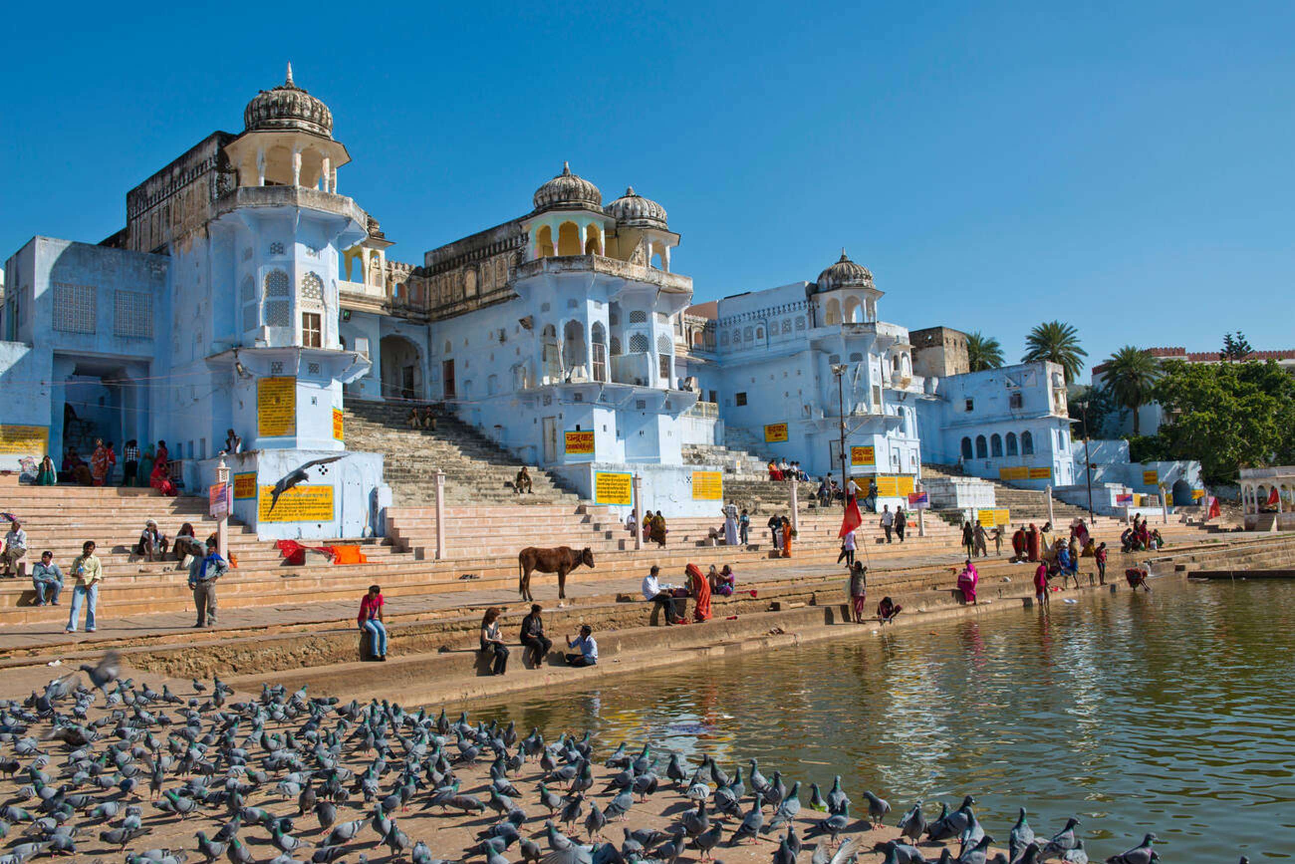 Explore the spiritual charm of Pushkar with sacred temples, vibrant markets
