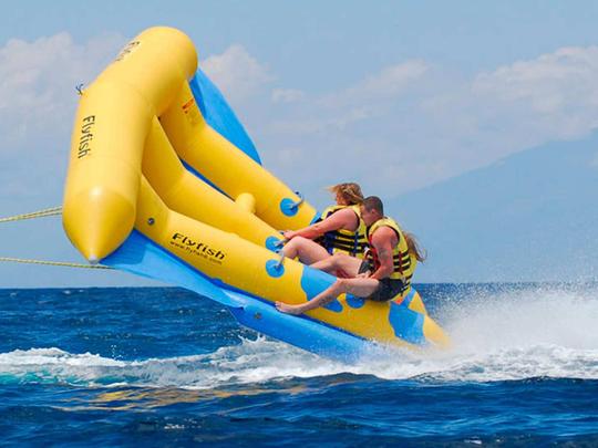 Flying Fish in Bali Image