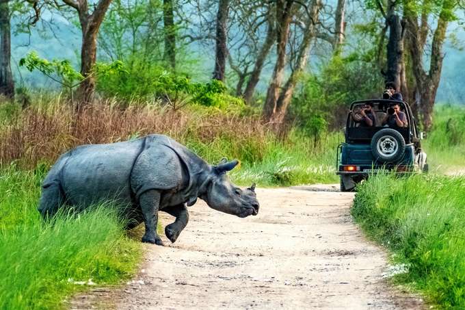 Get a chance to spot the famous one-horned Rhinos of the Kaziranga National Park, a UNESCO-Listed site