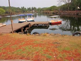 36jc1o2y420i886sbpogczahyljj 1589362722 sarovaram bio park