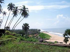 38nvlzki4umgmvf50ex5ys0yjbrj 1553500045 9