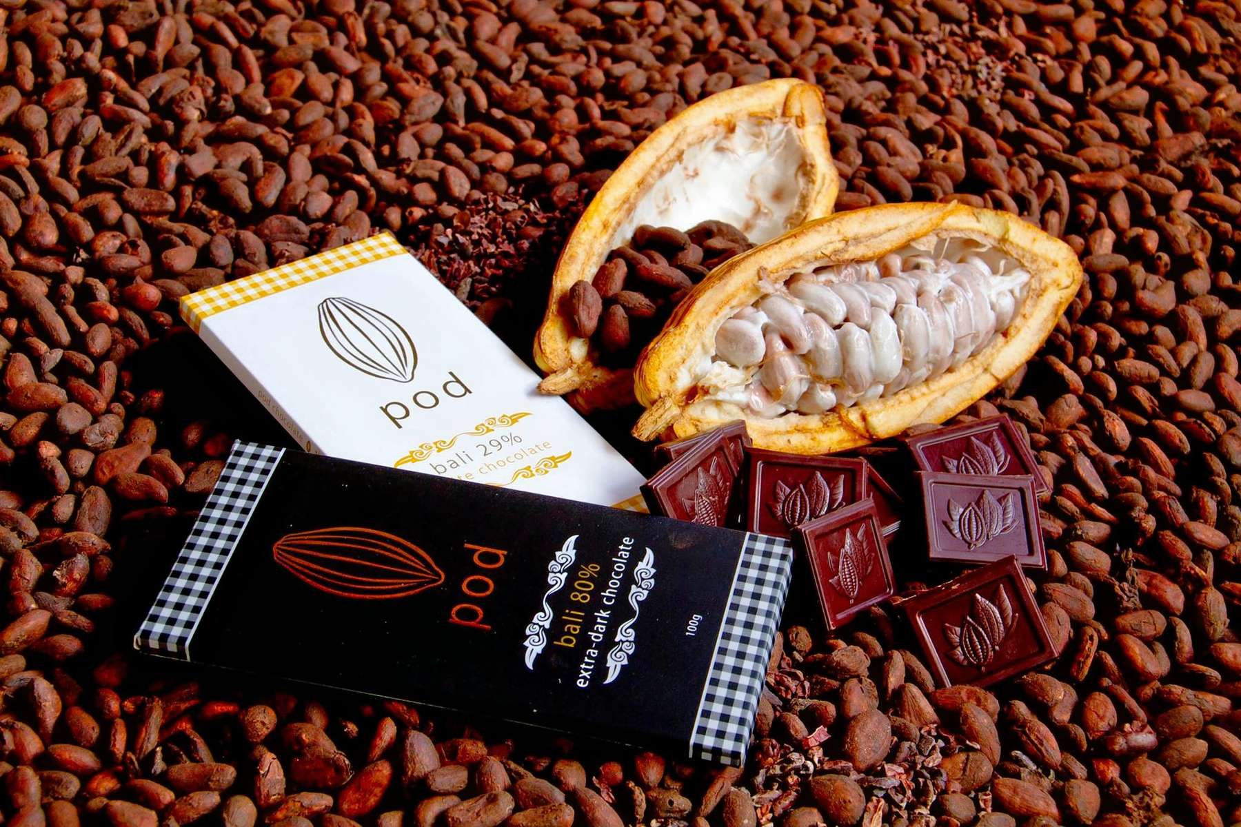 Pod Chocolate Factory Tour at Bali Elephant Camp Image