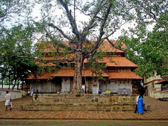 Munnar To Thrissur Sightseeing Tour Image