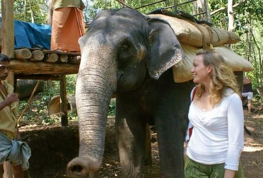 Lion Safari Park In Trivandrum Image