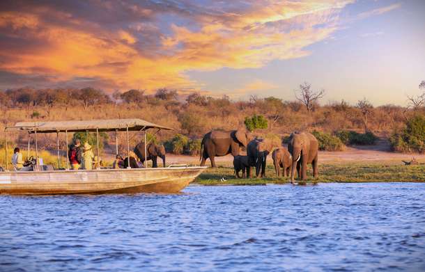5 Days Wildlife Exploration in Chobe National Park & Okavango Delta