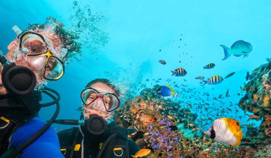 Tarkarli Scuba Diving Image