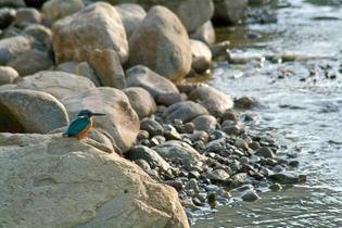 3dauxb8ofcgwp7uunavw7o7z8dyz 1462882668 3352560826 9872a0e802 b