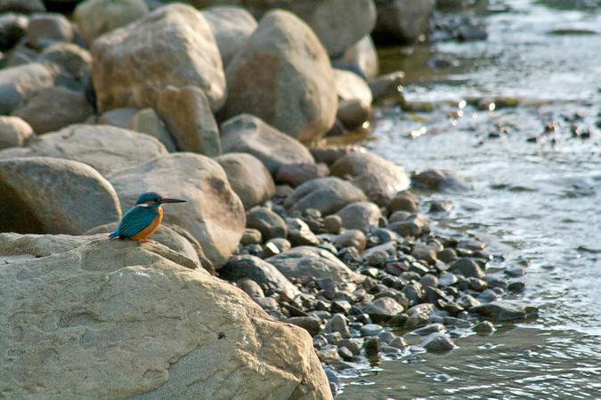 Benog Wildlife Sanctuary