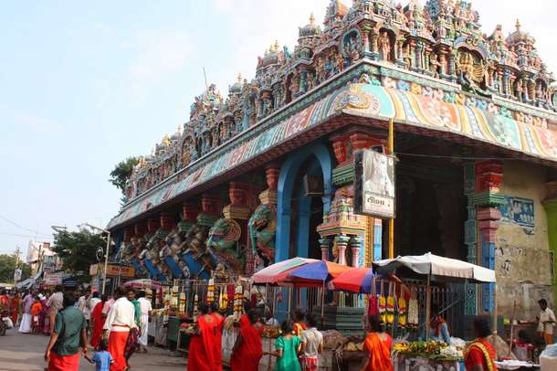 3e0kn38du69a0vae8y02nzvixb9c img 1059