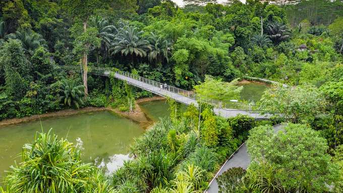 Pulau Ubin Tour, Singapore