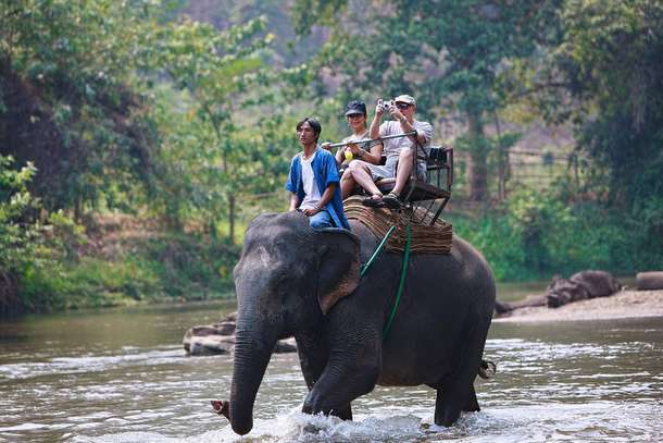 Ride through the Jim Corbett on an elephant’s back