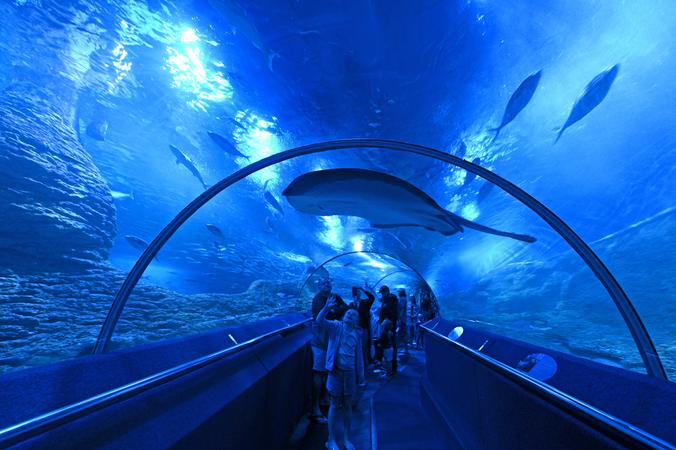 Aqwa   Under Water World