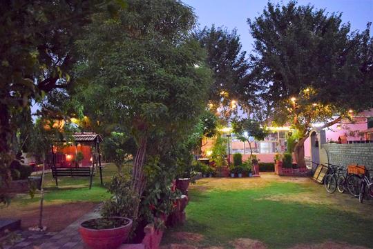 Night view of garden