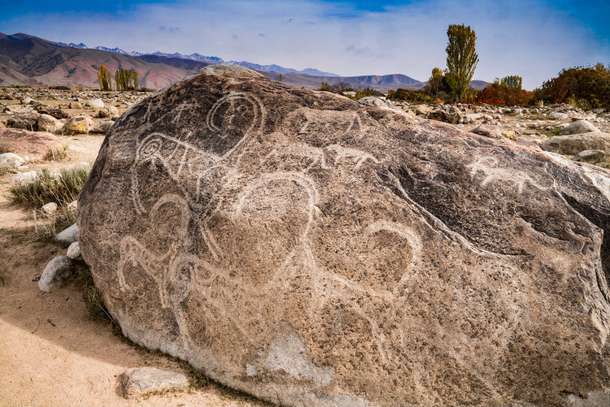 3it9ajwro4tt3dh2dclief4rm5y9 downpic.cc 176247306