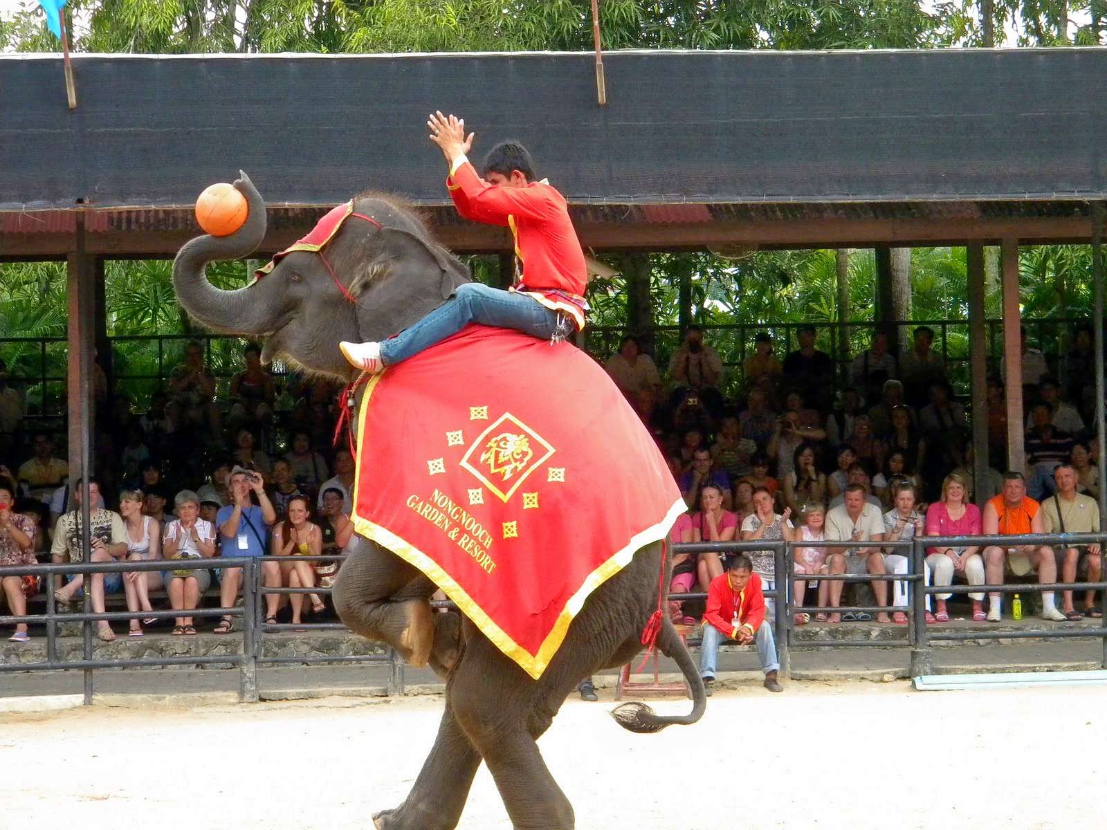 Nong Nooch Tropical Botanical Garden Tickets Image