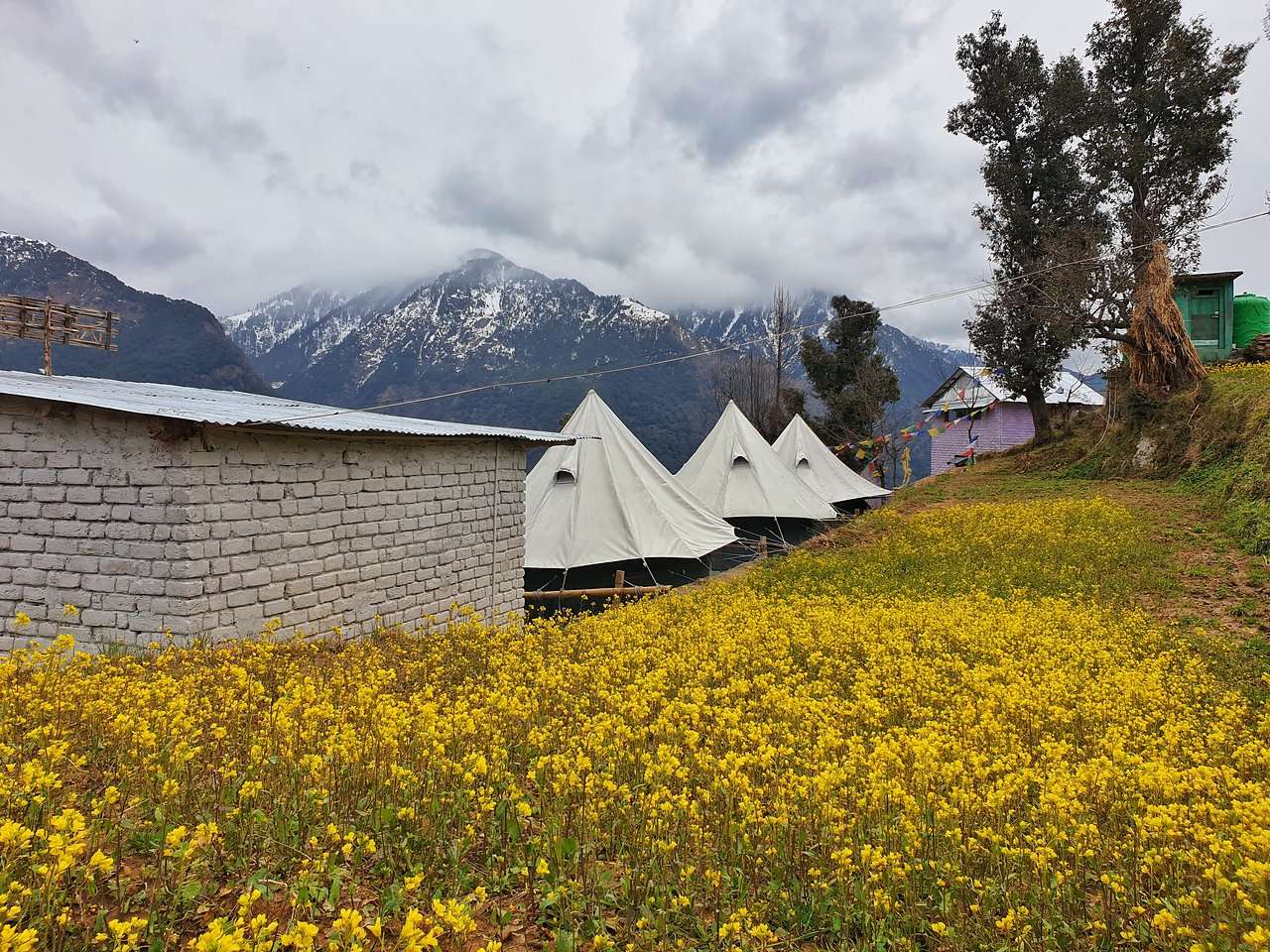 Rustic Cabin Stay, Dharamshala Image