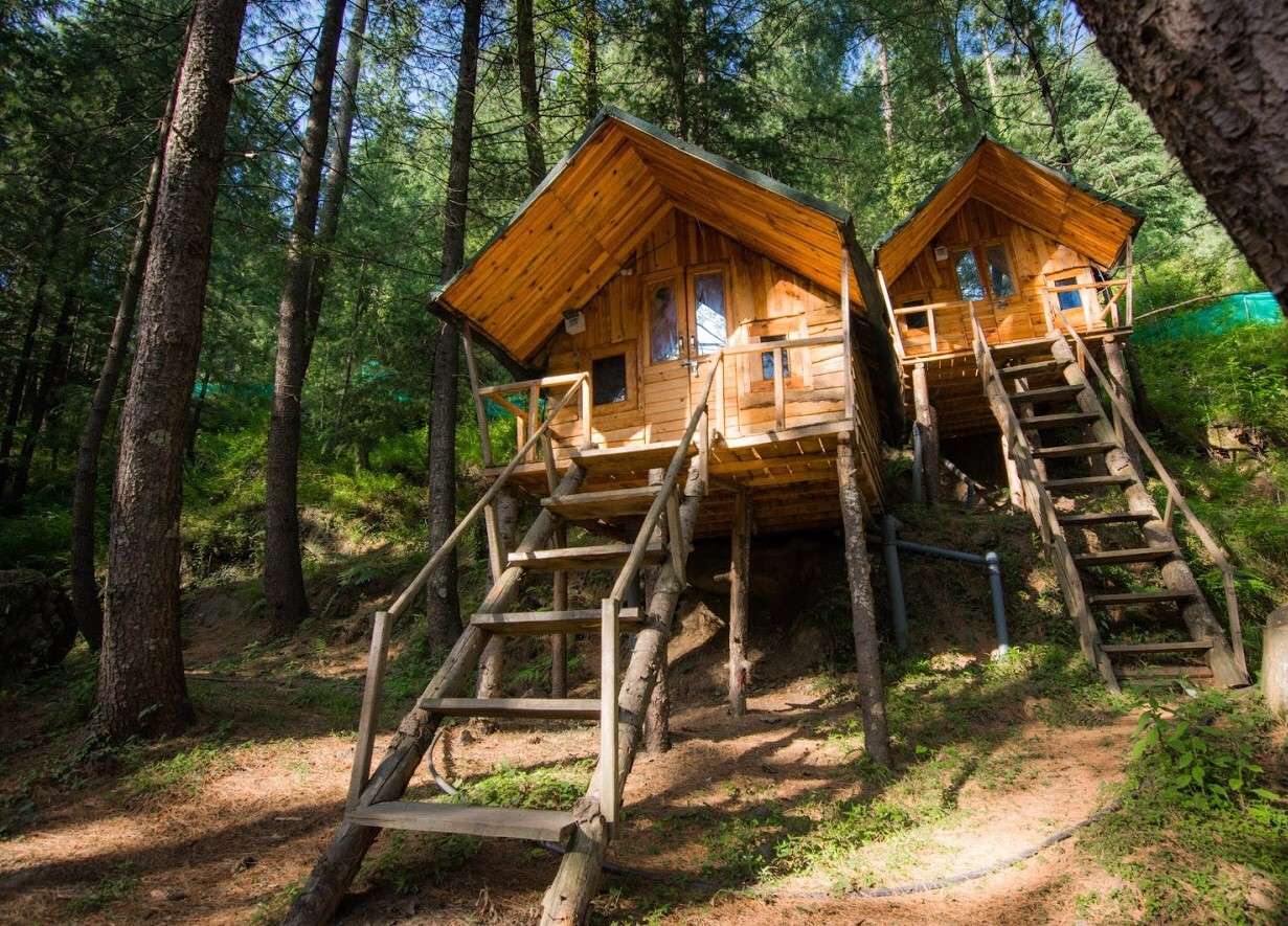 Treehouse with all the modern facilities on offer