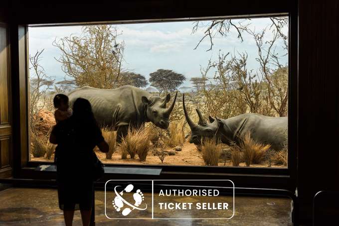 Indulge in an immersive experience, learning about the various ancient animals